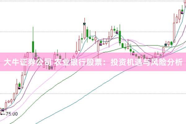 大牛证券公司 农业银行股票：投资机遇与风险分析