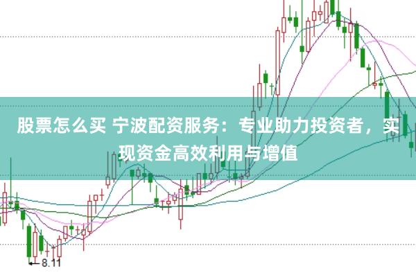 股票怎么买 宁波配资服务:专业助力投资者,实现资金高效利用与增值