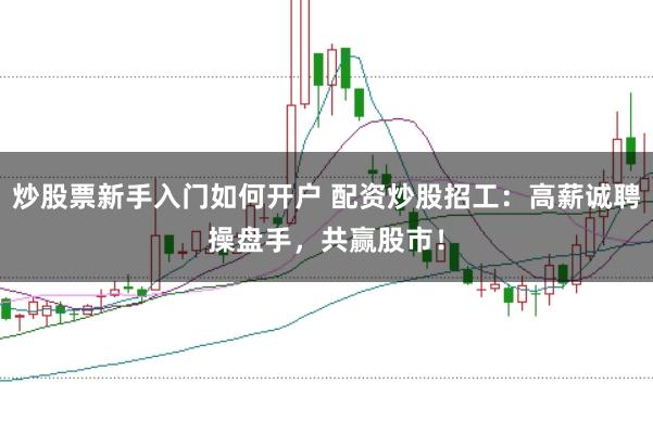 炒股票新手入门如何开户 配资炒股招工:高薪诚聘操盘手,共赢股市!