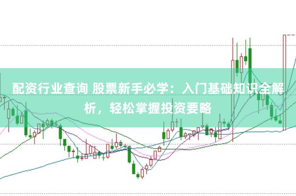 配资行业查询 股票新手必学：入门基础知识全解析，轻松掌握投资要略
