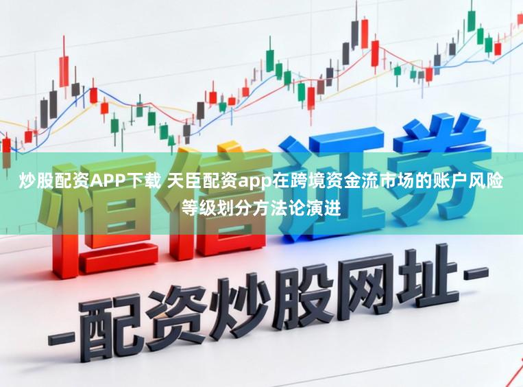 炒股配资APP下载 天臣配资app在跨境资金流市场的账户风险等级划分方法论演进