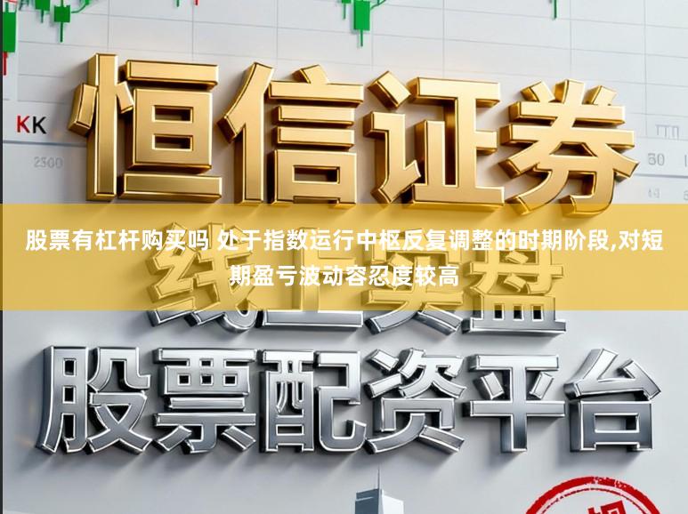 股票有杠杆购买吗 处于指数运行中枢反复调整的时期阶段，对短期盈亏波动容忍度较高