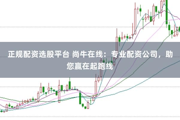 正规配资选股平台 尚牛在线：专业配资公司，助您赢在起跑线
